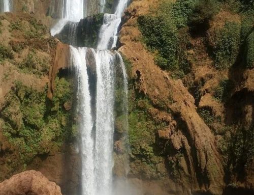 1 Day trip — Ouzoud Waterfalls