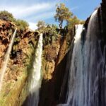 ouzoud waterfalls - day trip in morocco