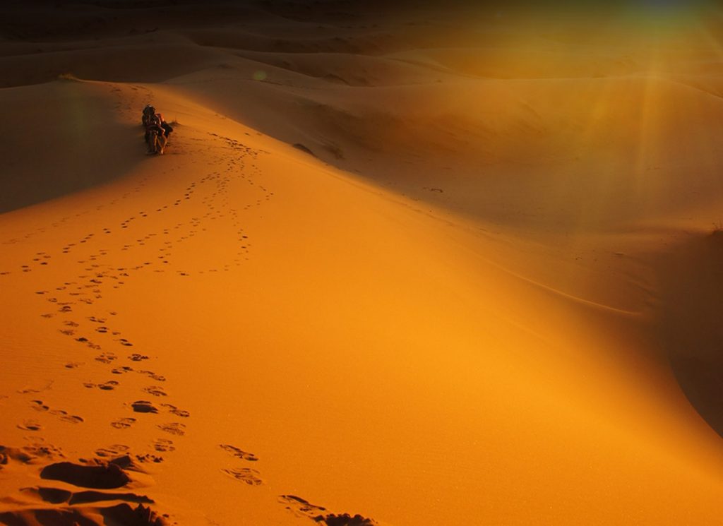 Moroccan Day Trips in the Desert with Merzougacamp