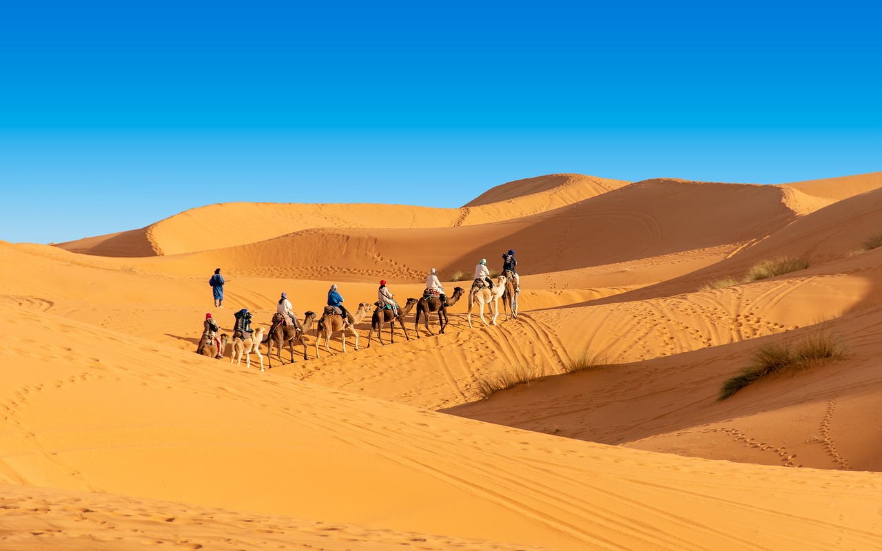 camel trekking in merzouga desert